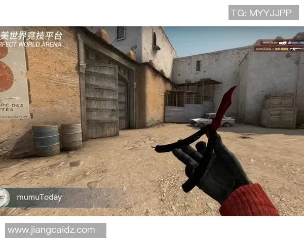 CSGO战术解析：深入探讨TES战队的游戏节奏与策略运用